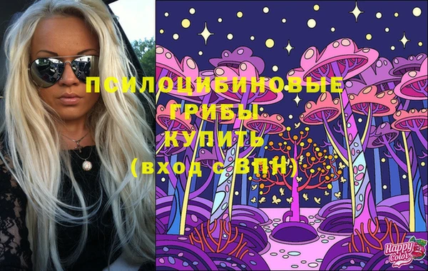 ГАЛЛЮЦИНОГЕННЫЕ ГРИБЫ Заволжье