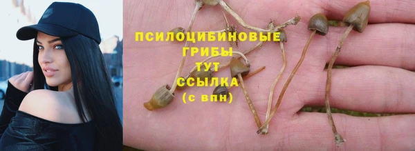стаф Заволжск
