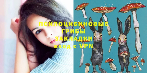 стаф Заволжск