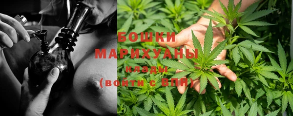 стаф Заволжск