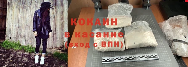 ГАЛЛЮЦИНОГЕННЫЕ ГРИБЫ Заволжье