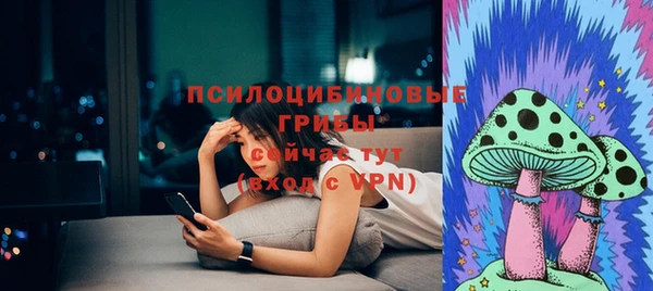 стаф Заволжск
