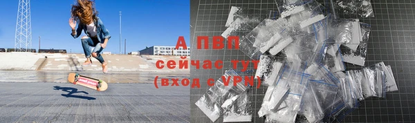 ГАЛЛЮЦИНОГЕННЫЕ ГРИБЫ Заволжье