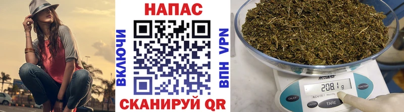 МАРИХУАНА семена  Купить  Задонск 